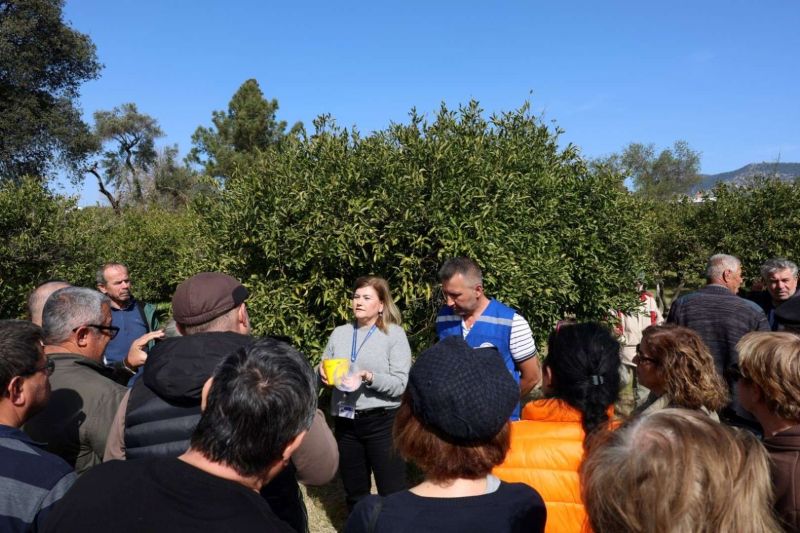 BODRUM’DA AĞAÇ BUDAMA EĞİTİMİ DÜZENLENDİ