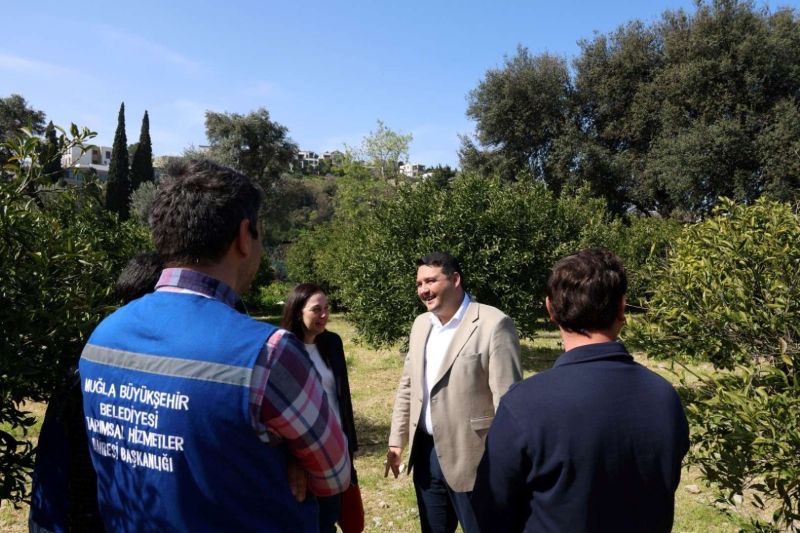 BODRUM’DA AĞAÇ BUDAMA EĞİTİMİ DÜZENLENDİ