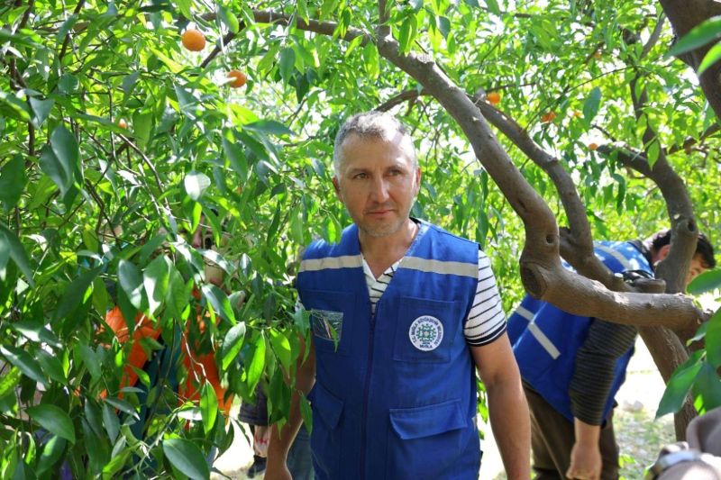 BODRUM’DA AĞAÇ BUDAMA EĞİTİMİ DÜZENLENDİ