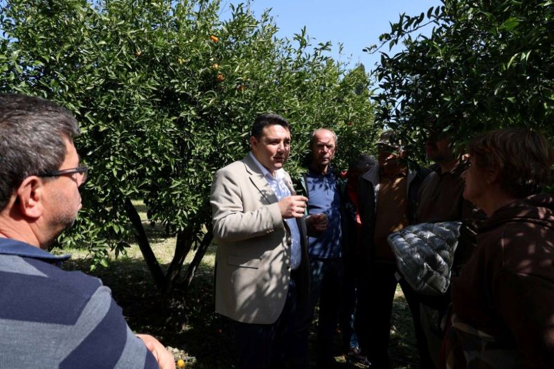 BODRUM’DA AĞAÇ BUDAMA EĞİTİMİ DÜZENLENDİ