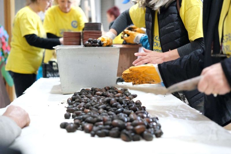 ORMAN HAFTASI’NDA ÇOCUKLARA DOĞA BİLİNCİ AŞILANDI