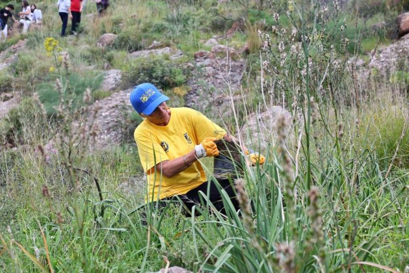 BELEDİYEDEN YANAN ORMANLIK ALANDA FİDAN DİKİM ETKİNLİĞİ