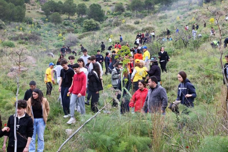 BELEDİYEDEN YANAN ORMANLIK ALANDA FİDAN DİKİM ETKİNLİĞİ