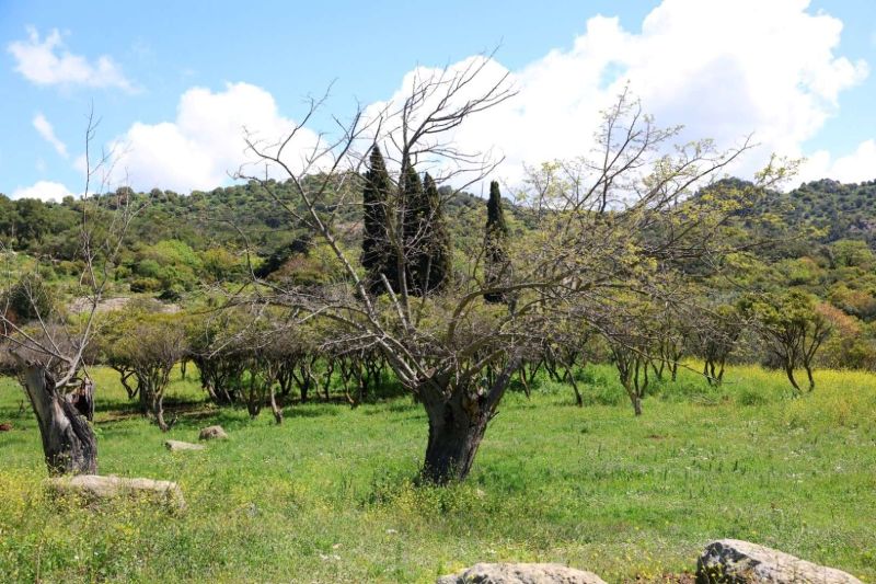 KÜLTÜR VE DOĞA YÜRÜYÜŞLERİ DEVAM EDİYOR