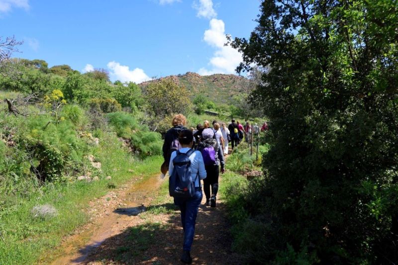 KÜLTÜR VE DOĞA YÜRÜYÜŞLERİ DEVAM EDİYOR