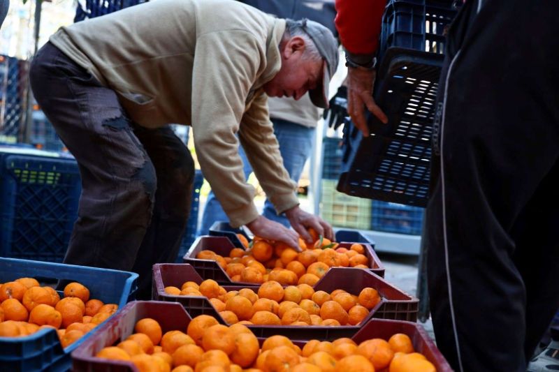 MANDALİN ÜRETİCİSİNE 5 MİLYON KAZANÇ