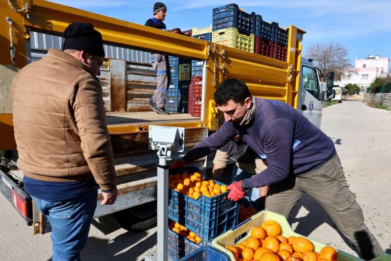 MANDALİN ÜRETİCİSİNE 5 MİLYON KAZANÇ