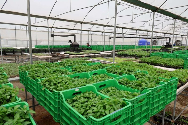 “ÜRETEN BODRUM BULUŞMASI” GENİŞ KATILIMLA GERÇEKLEŞTİ