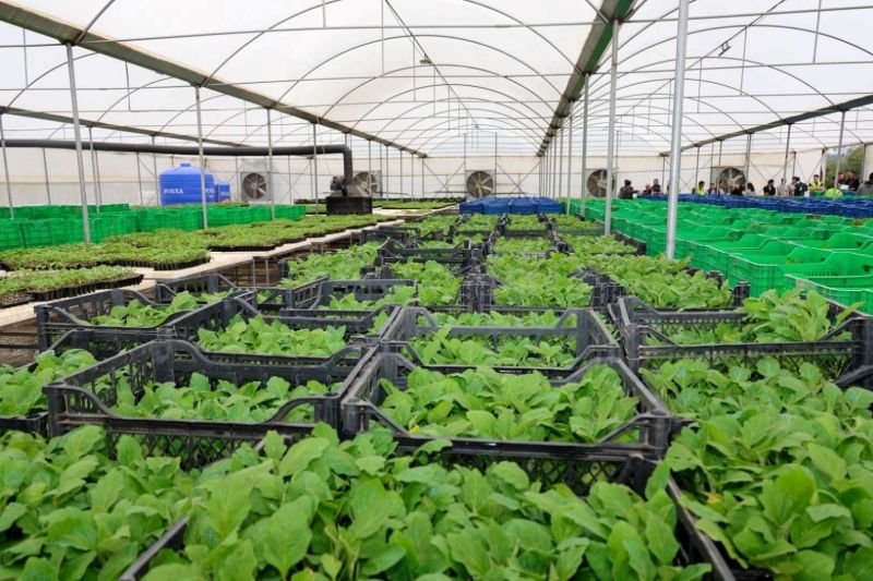 “ÜRETEN BODRUM BULUŞMASI” GENİŞ KATILIMLA GERÇEKLEŞTİ