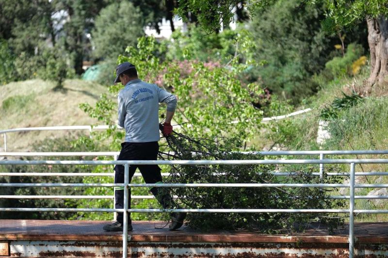 HALİKARNASSOS SURLARI VE MYNDOS KAPISI’NDA TEMİZLİK ÇALIŞMALARI TAMAMLANDI