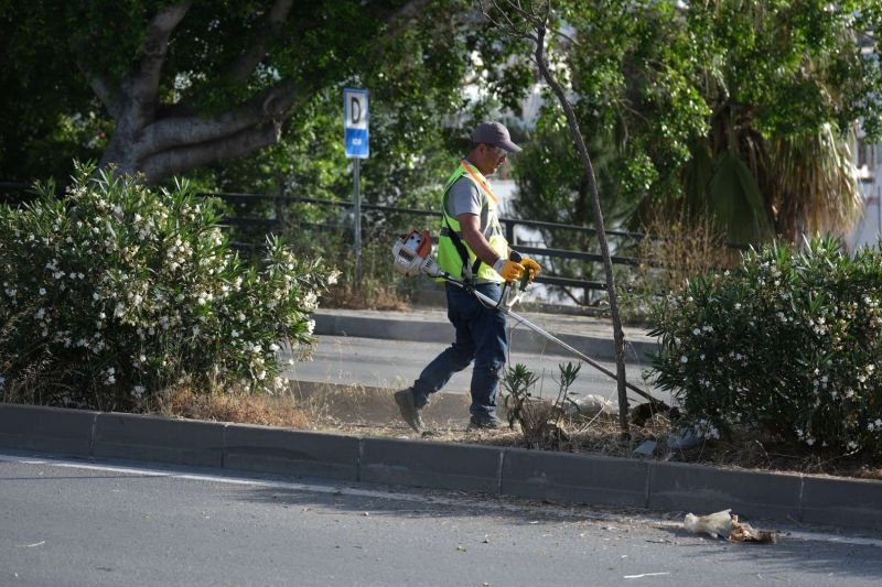BODRUM’DA OT TEMİZLİĞİ ÇALIŞMALARI TÜM HIZIYLA DEVAM EDİYOR