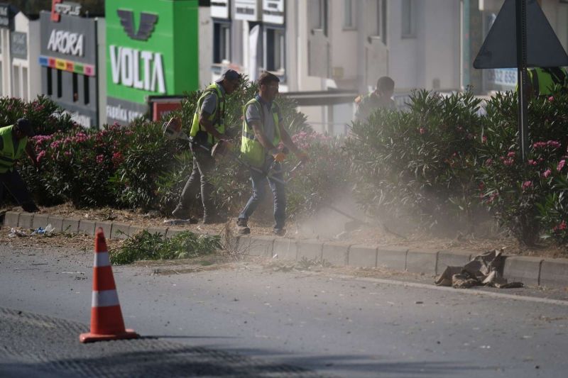 BODRUM’DA OT TEMİZLİĞİ ÇALIŞMALARI TÜM HIZIYLA DEVAM EDİYOR