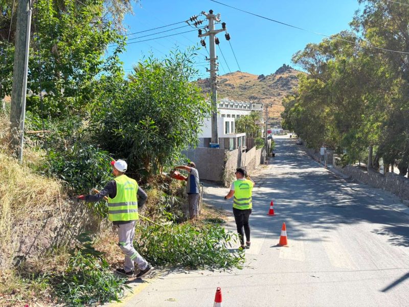 BODRUM’DA OT TEMİZLİĞİ ÇALIŞMALARI TÜM HIZIYLA DEVAM EDİYOR