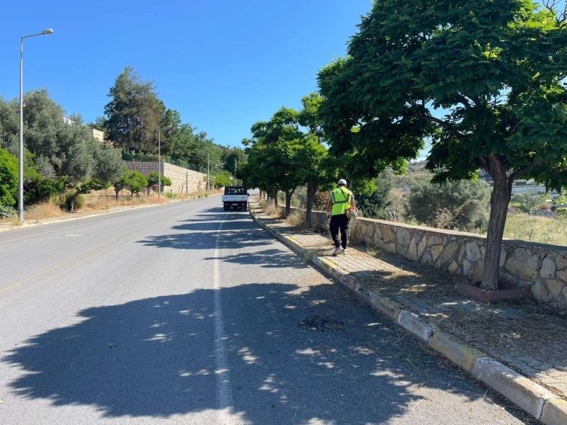 BODRUM’DA OT TEMİZLİĞİ ÇALIŞMALARI TÜM HIZIYLA DEVAM EDİYOR