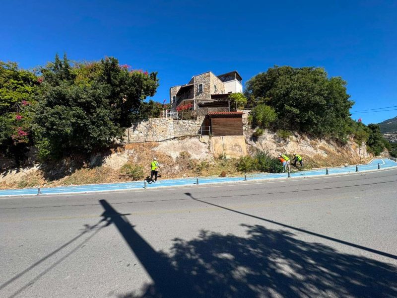 BODRUM’DA OT TEMİZLİĞİ ÇALIŞMALARI TÜM HIZIYLA DEVAM EDİYOR