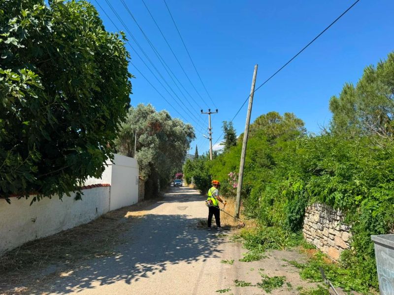 BODRUM’DA OT TEMİZLİĞİ ÇALIŞMALARI TÜM HIZIYLA DEVAM EDİYOR