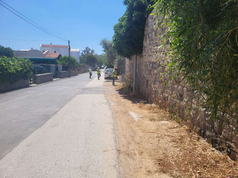 BODRUM’DA OT TEMİZLİĞİ ÇALIŞMALARI TÜM HIZIYLA DEVAM EDİYOR