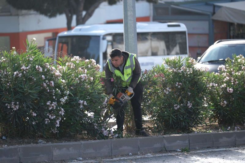 BODRUM’DA OT TEMİZLİĞİ ÇALIŞMALARI TÜM HIZIYLA DEVAM EDİYOR