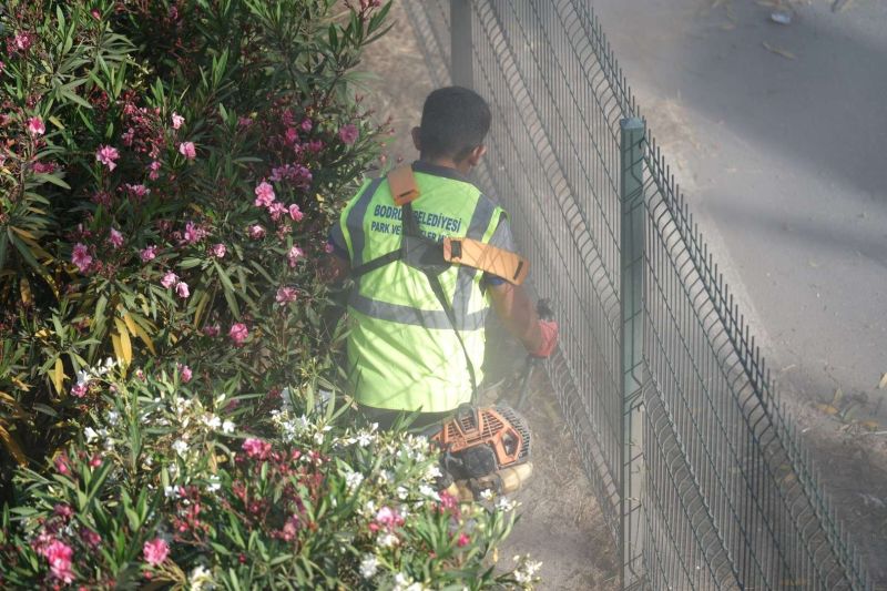BODRUM’DA OT TEMİZLİĞİ ÇALIŞMALARI TÜM HIZIYLA DEVAM EDİYOR