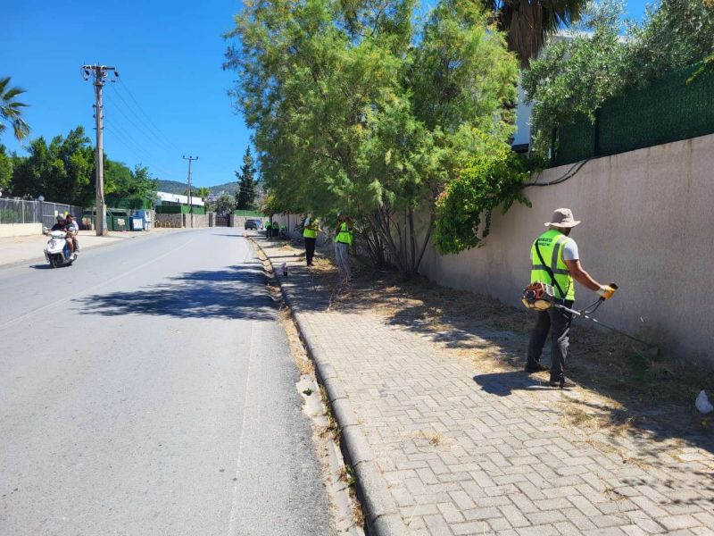 BODRUM’DA OT TEMİZLİĞİ ÇALIŞMALARI TÜM HIZIYLA DEVAM EDİYOR