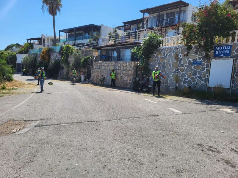 BODRUM’DA OT TEMİZLİĞİ ÇALIŞMALARI TÜM HIZIYLA DEVAM EDİYOR