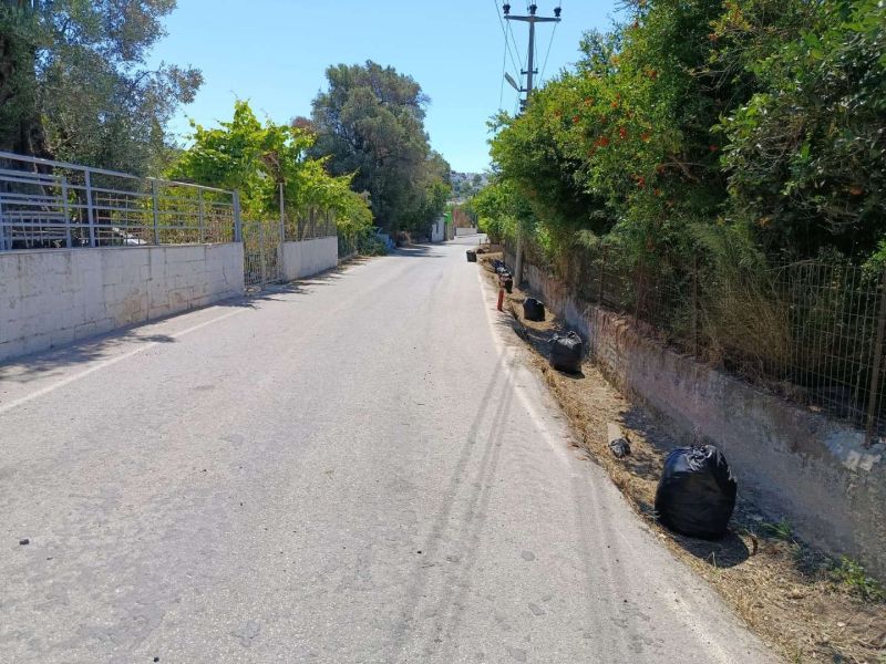 BODRUM’DA OT TEMİZLİĞİ ÇALIŞMALARI TÜM HIZIYLA DEVAM EDİYOR