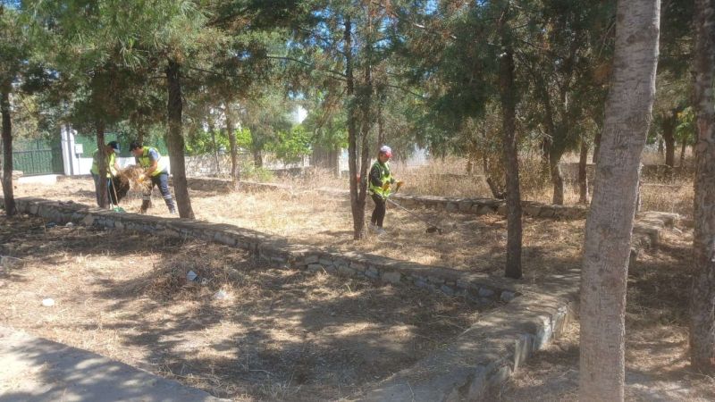 BODRUM’DA OT TEMİZLİĞİ ÇALIŞMALARI TÜM HIZIYLA DEVAM EDİYOR
