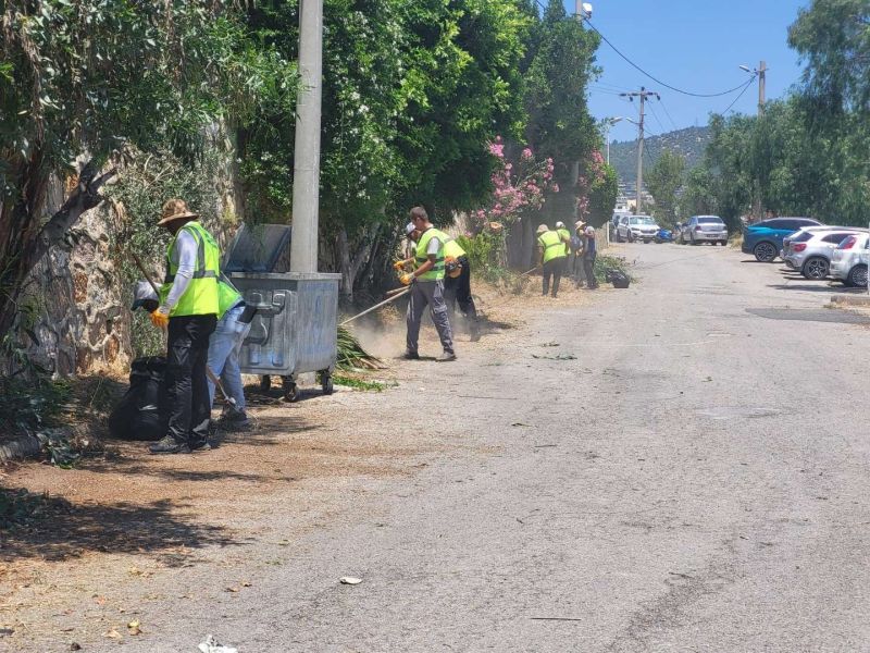 BODRUM’DA OT TEMİZLİĞİ ÇALIŞMALARI TÜM HIZIYLA DEVAM EDİYOR