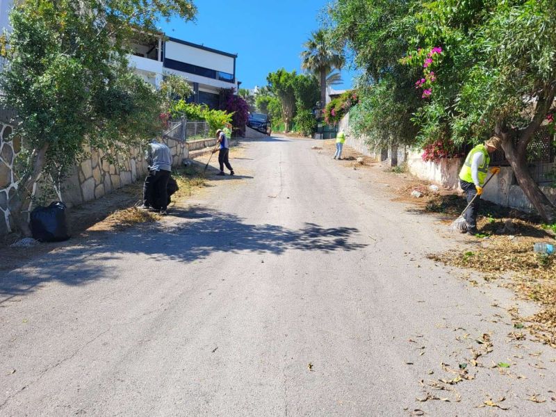 BODRUM’DA OT TEMİZLİĞİ ÇALIŞMALARI TÜM HIZIYLA DEVAM EDİYOR