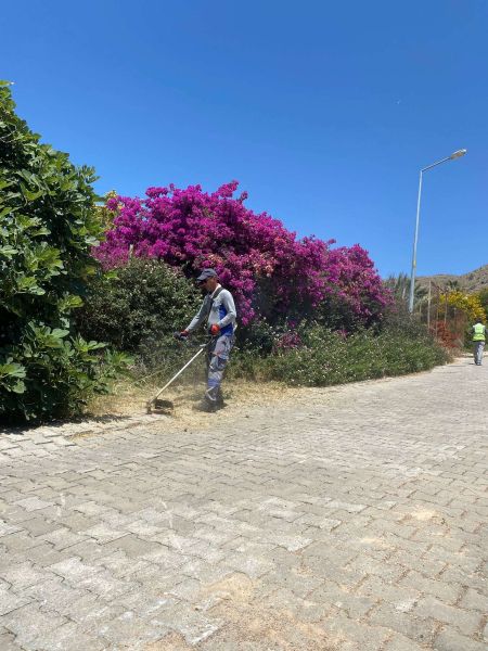 OT TEMİZLİĞİ ÇALIŞMALARI HAZİRAN AYI BOYUNCA ARALIKSIZ SÜRDÜ