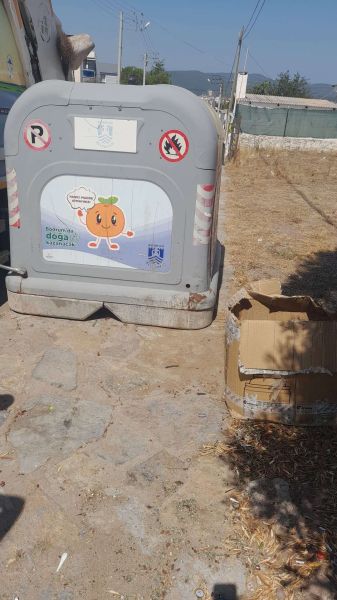 BELEDİYE EKİBİNİN DİKKATİ YAVRU KEDİLERİ HAYATA BAĞLADI