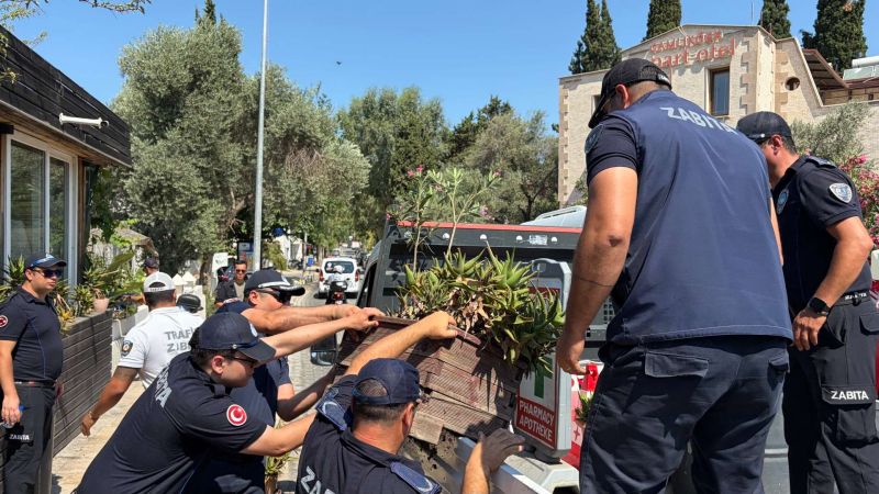 BODRUM GENELİNDE DENETİM VE DÜZENLEME ÇALIŞMALARI BAŞLADI