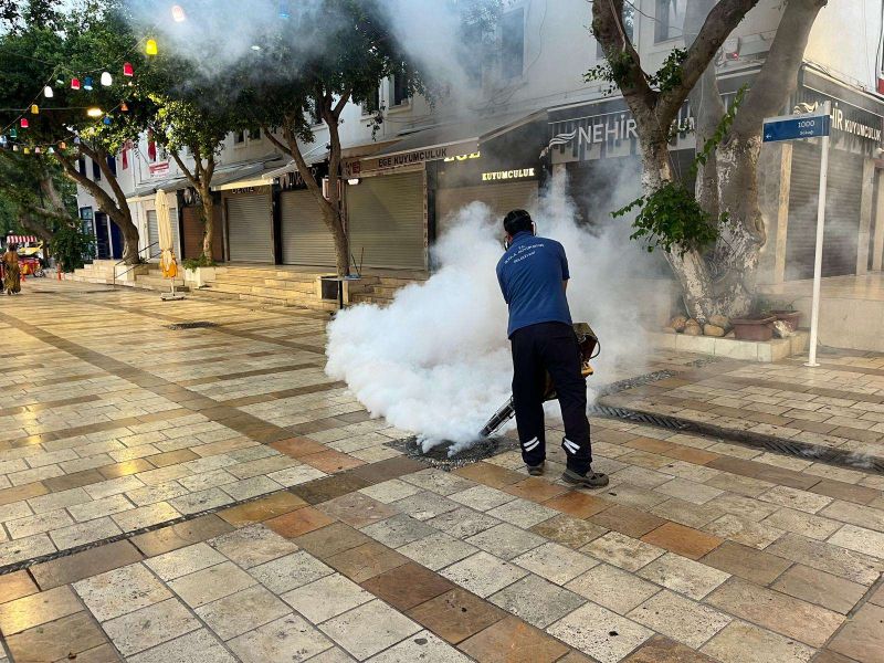 ÇARŞI MAHALLESİ’NDE MAZGAL TEMİZLİĞİ VE İLAÇLAMA ÇALIŞMASI