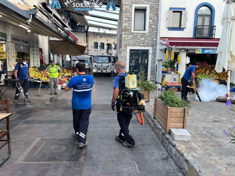 ÇARŞI MAHALLESİ’NDE MAZGAL TEMİZLİĞİ VE İLAÇLAMA ÇALIŞMASI