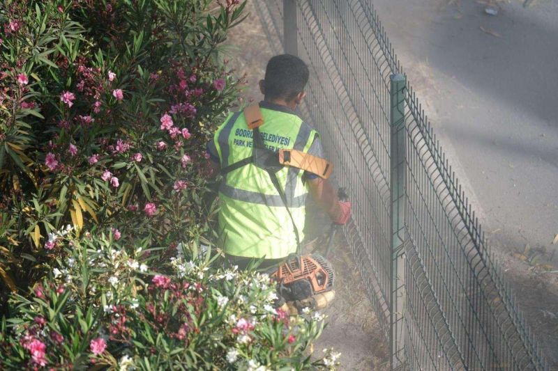 BODRUM'DA OT TEMİZLİĞİ ÇALIŞMALARI SÜRÜYOR