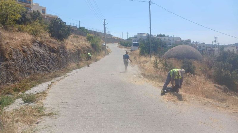 BODRUM'DA OT TEMİZLİĞİ ÇALIŞMALARI SÜRÜYOR
