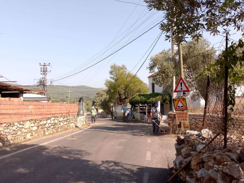 BODRUM'DA OT TEMİZLİĞİ ÇALIŞMALARI SÜRÜYOR