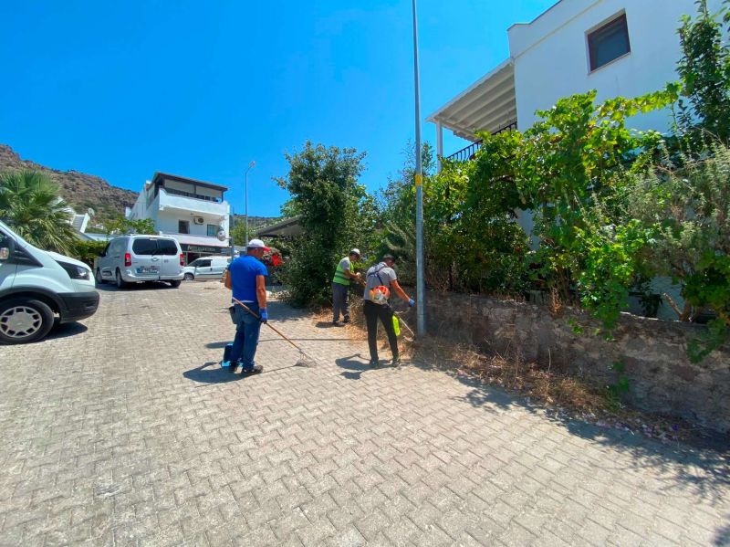 BODRUM'DA OT TEMİZLİĞİ ÇALIŞMALARI SÜRÜYOR