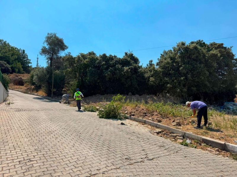 BODRUM'DA OT TEMİZLİĞİ ÇALIŞMALARI SÜRÜYOR