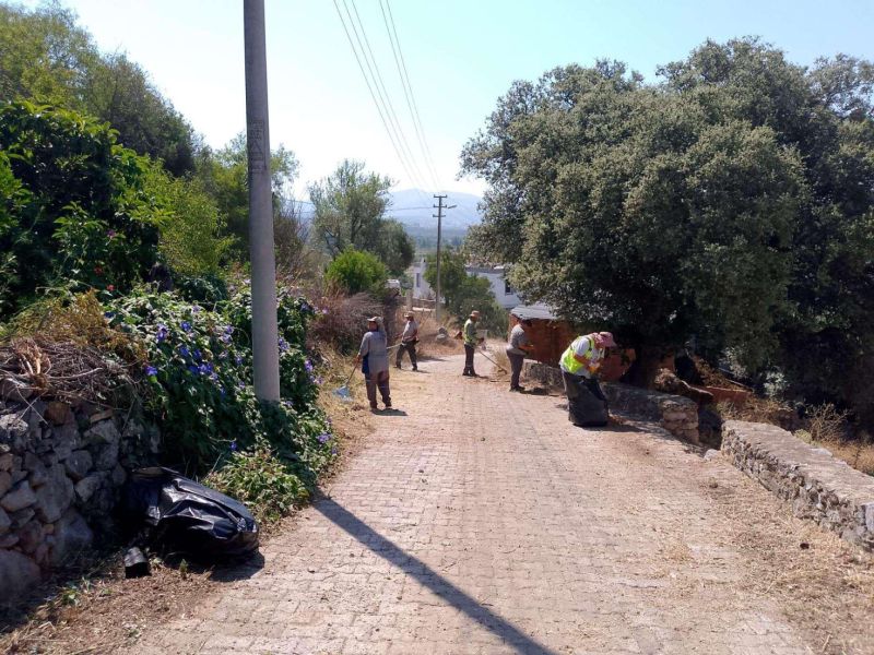 BODRUM'DA OT TEMİZLİĞİ ÇALIŞMALARI SÜRÜYOR