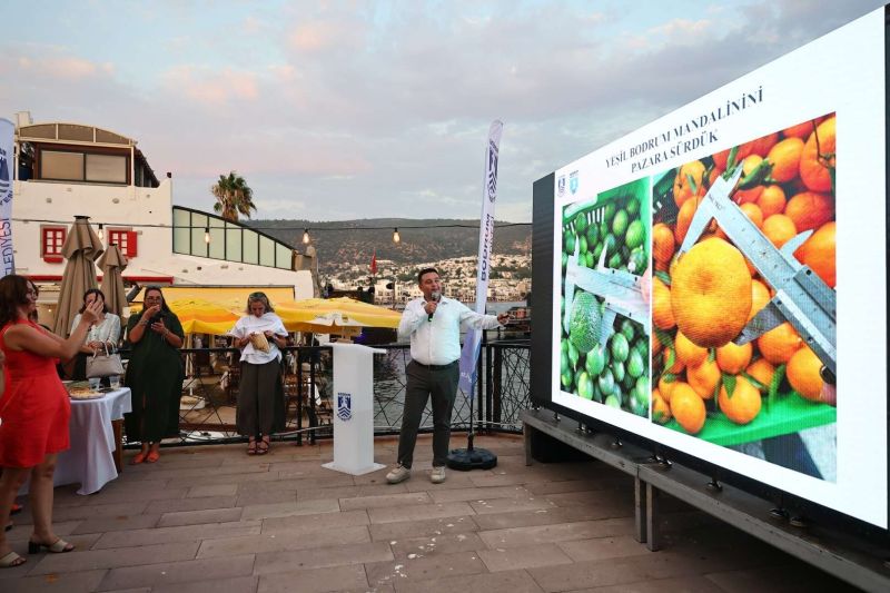 YEŞİL BODRUM MANDALİNİ SEKTÖR BULUŞMASI