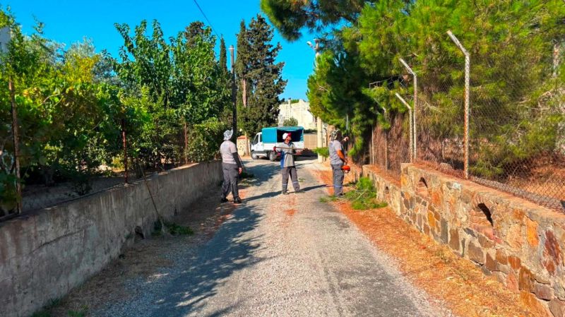 BODRUM’DA OT TEMİZLİĞİ ÇALIŞMALARI SÜRÜYOR