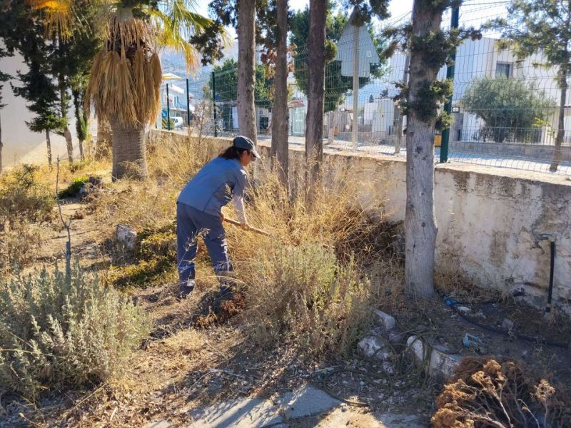 BODRUM’DA OT TEMİZLİĞİ ÇALIŞMALARI SÜRÜYOR