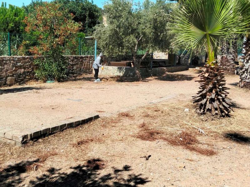 BODRUM’DA OT TEMİZLİĞİ ÇALIŞMALARI SÜRÜYOR