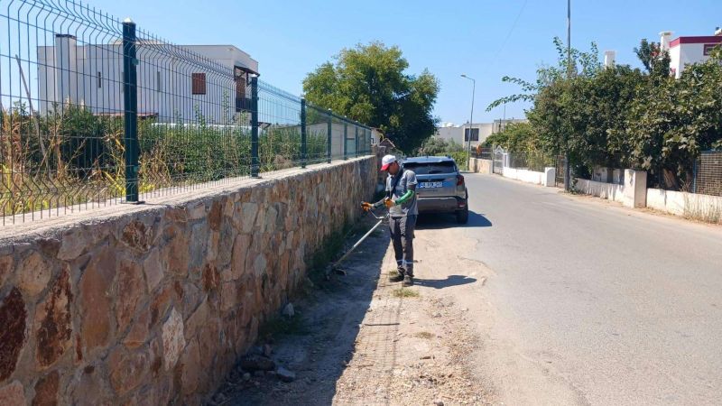 BODRUM’DA OT TEMİZLİĞİ ÇALIŞMALARI SÜRÜYOR