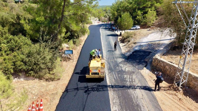 BAŞKAN MANDALİNCİ ÇAMLIK’TA İNCELEMELERDE BULUNDU