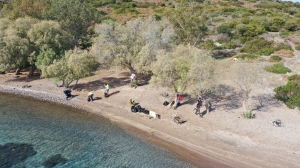 ADABOĞAZI MİS GİBİ OLDU