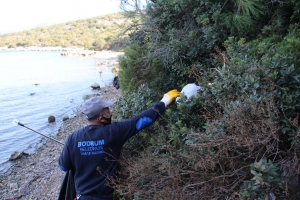 ADABOĞAZI MİS GİBİ OLDU