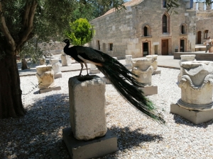 SUALTI ARKEOLOJİ MÜZESİ YENİ SERGİ SALONLARIYLA ZİYARETE AÇILDI