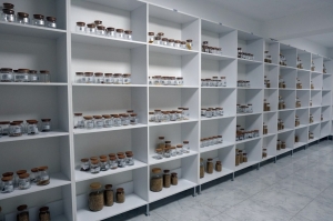 TÜRKİYE'NİN 5. YEREL TOHUM MERKEZİ BODRUM'DA AÇILDI